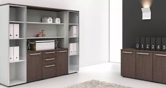 Office Files Storage Cabinet & Filings | SF-26