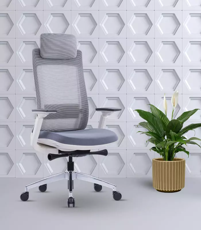 Silver Grey Ergonomic Executive Chair