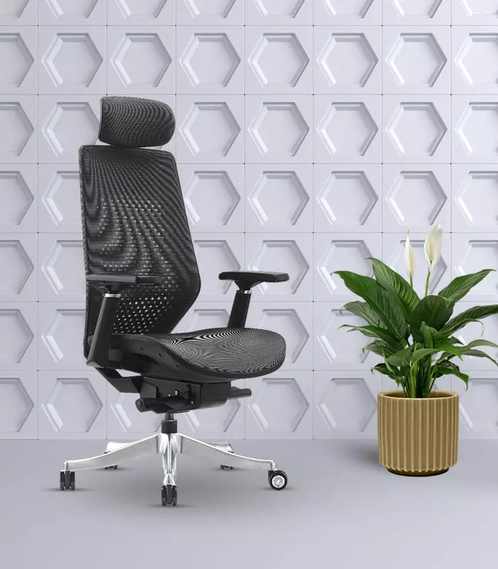 Ergonomic Office Chair