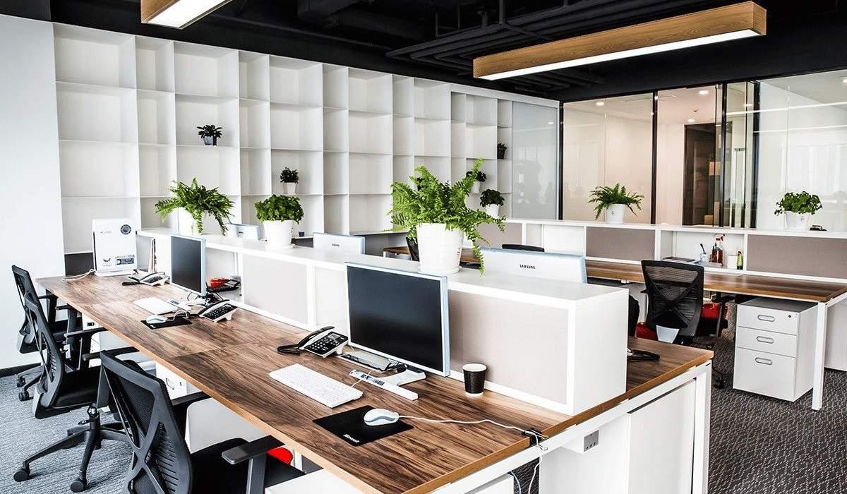 Creating a Modern Office Space on a Budget