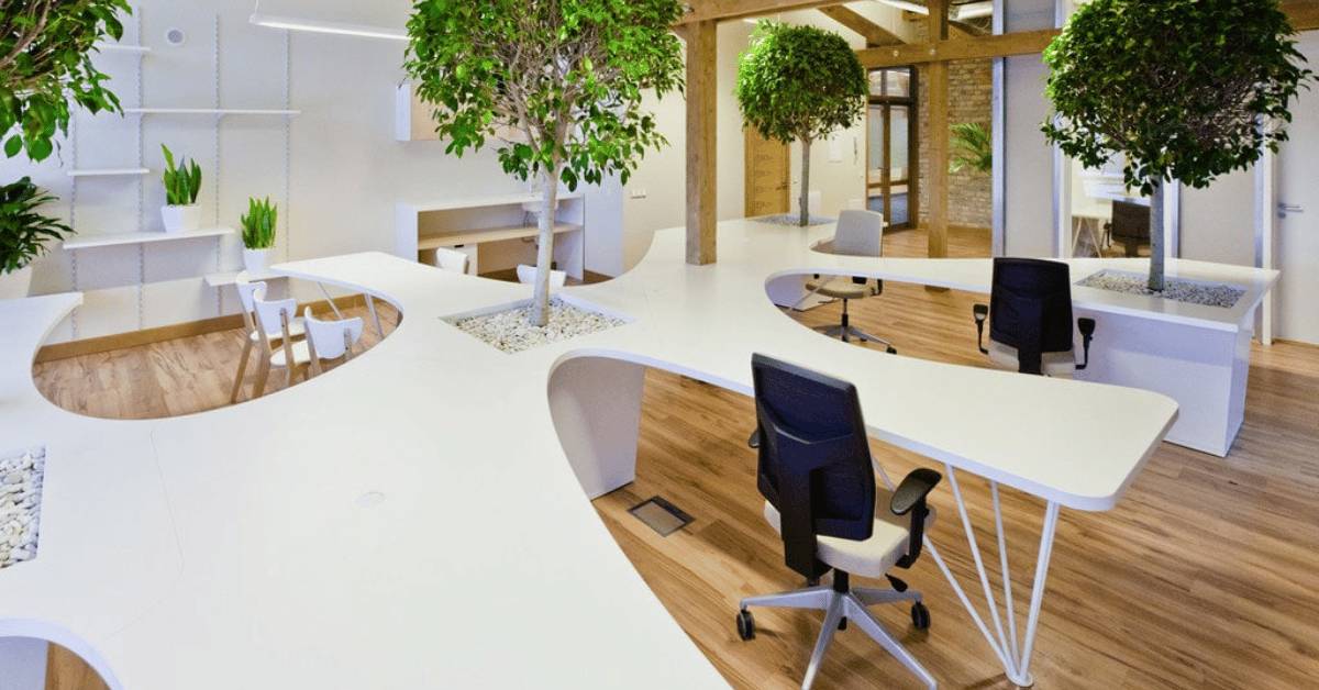 Sustainability in Office Design