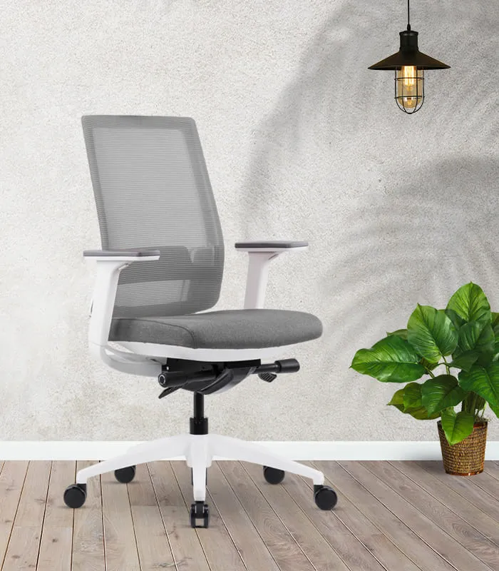 Medium Back Ergonomic Office Chair