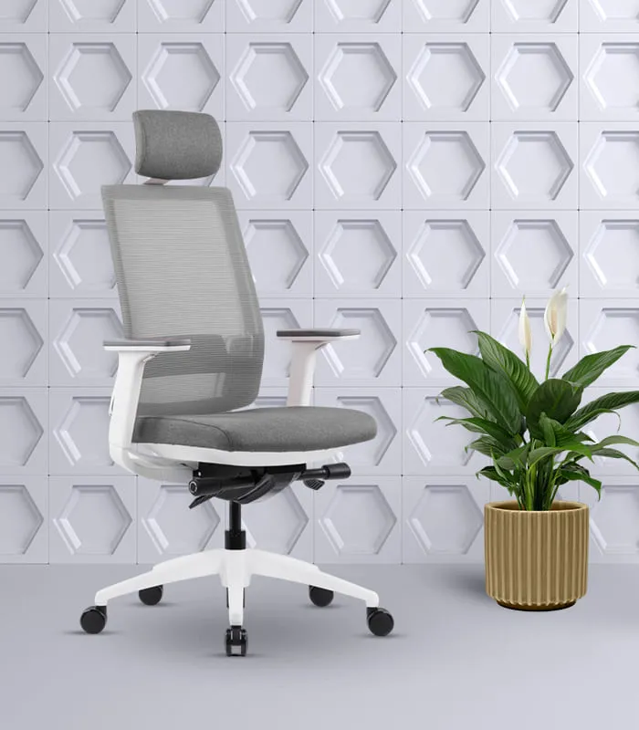 Ergonomic Office Chair