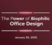 The power of biophilic office design (1)