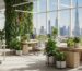 Sustainable Office Furniture: How Dubai Businesses Go Green | Furnicraft